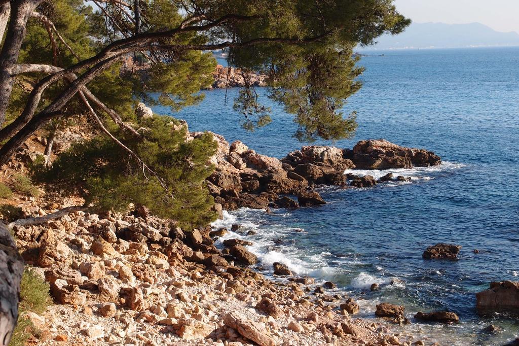 Au Coeur De La Ville Bandol Ngoại thất bức ảnh